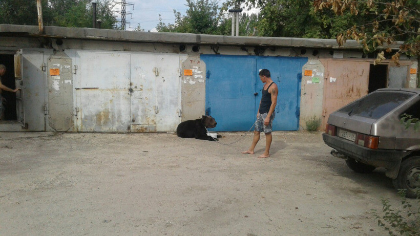 Фото © VK / Типичный Балаково!