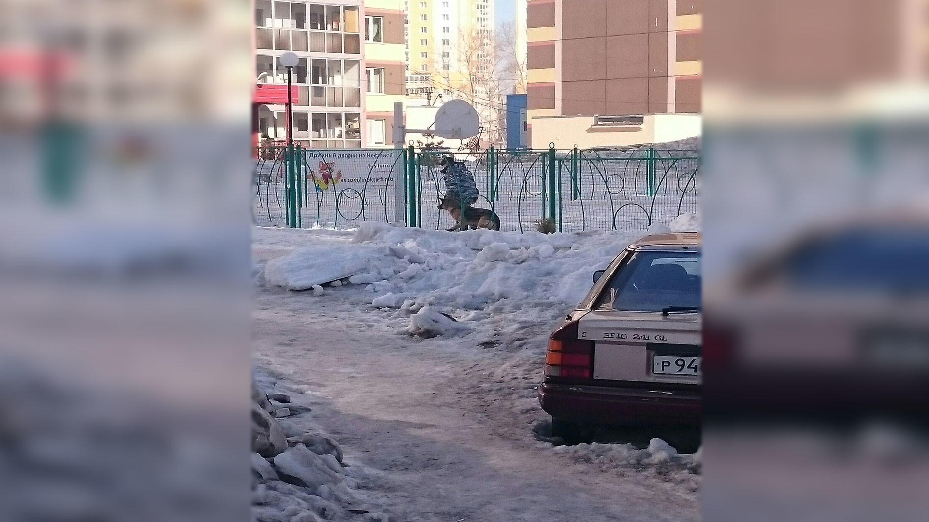 Фото: соцсети