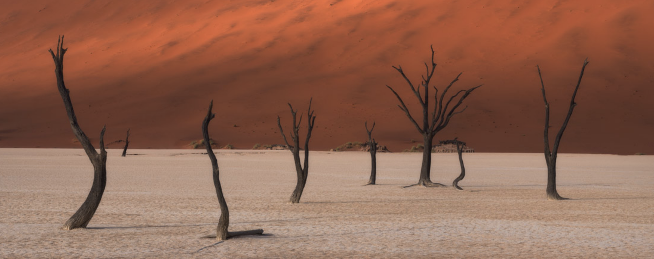 Фото © автор картинки/ The EPSON International Pano Awards Фото глиняного плато Дедвлей ("мёртвое болото") в Намибии принадлежит Стюарту Беллами из ЮАР