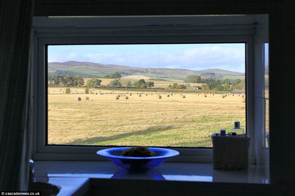 Фото © cascadenews.co.uk