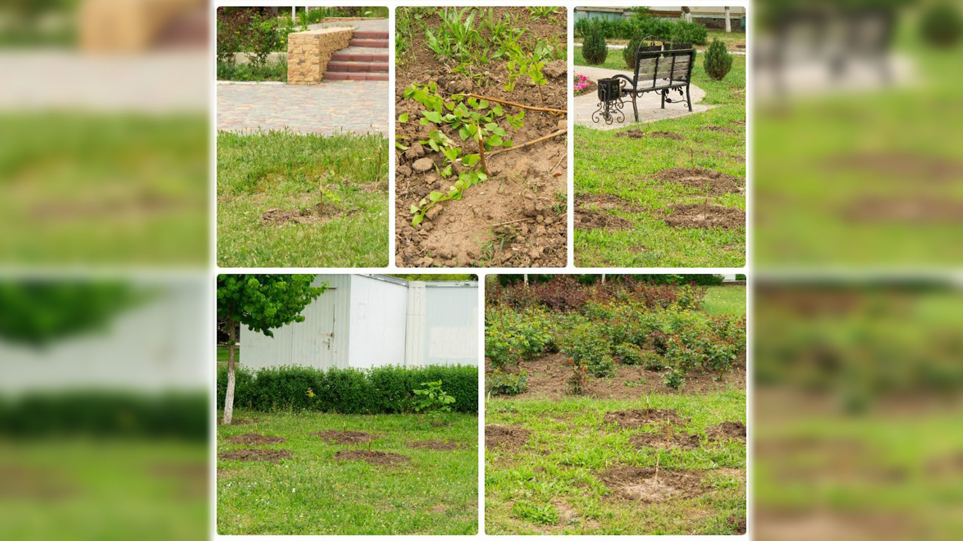 Фото: соцсети