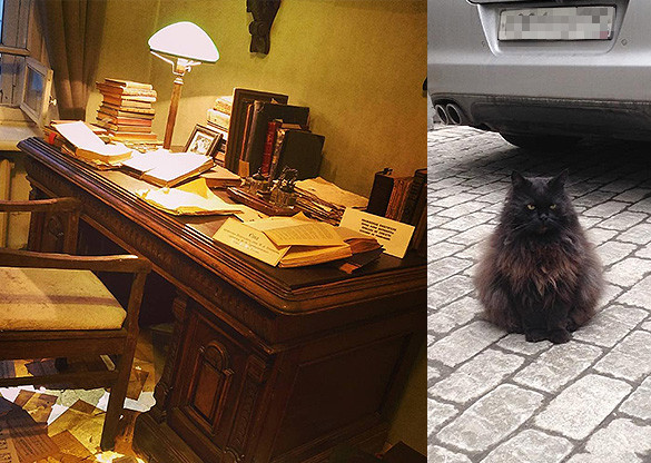 Фото: instagram.com @leno0828, @michaeljm86