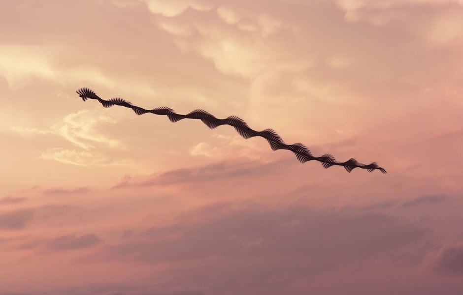 Фото © Instagram/xavibou