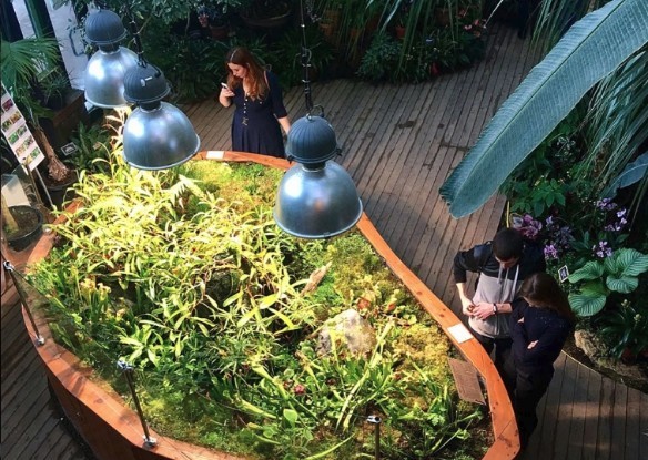 Фото: instagram.com/bon_sens