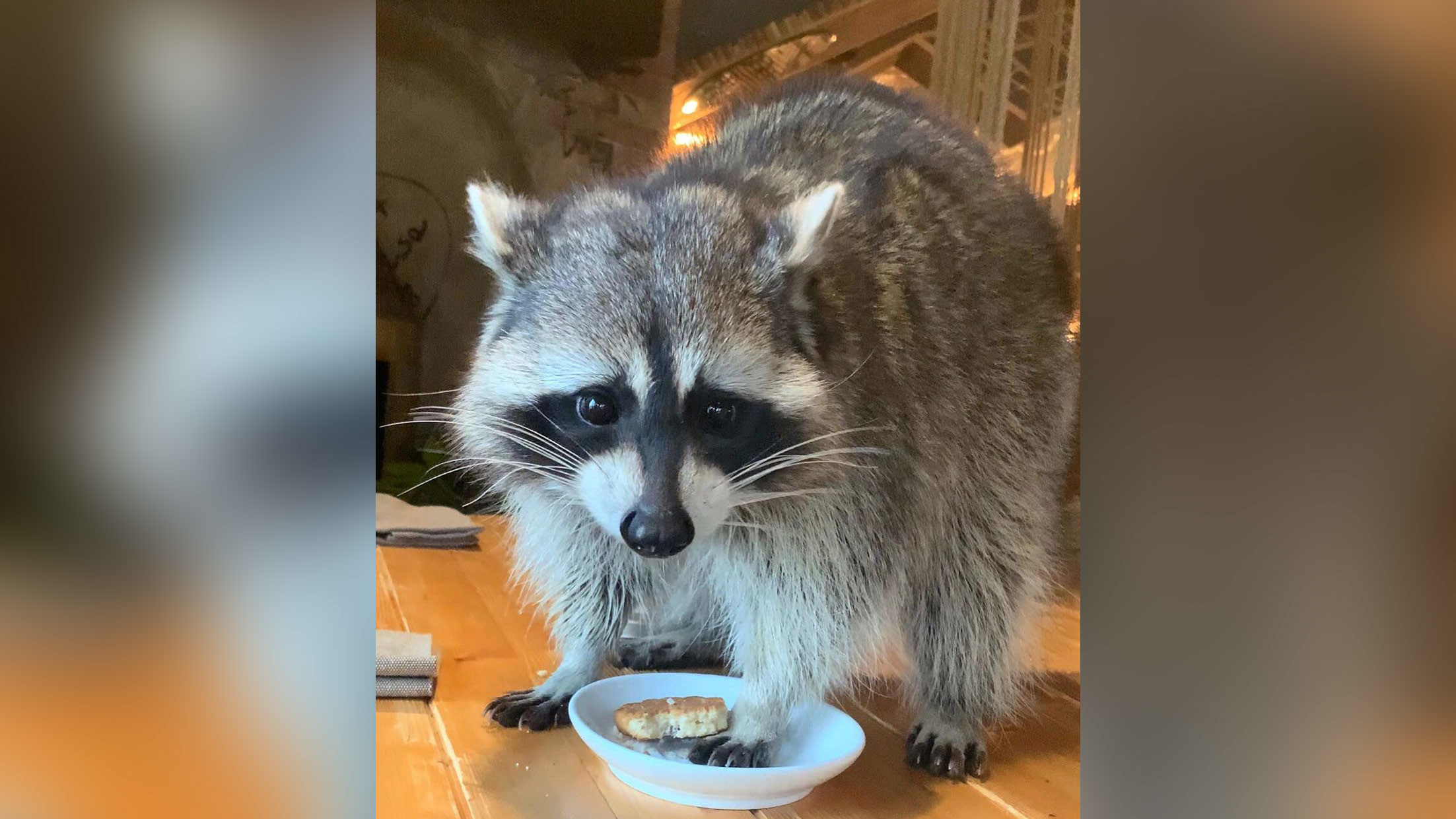 Фото © Instagram / cafe_kusochki