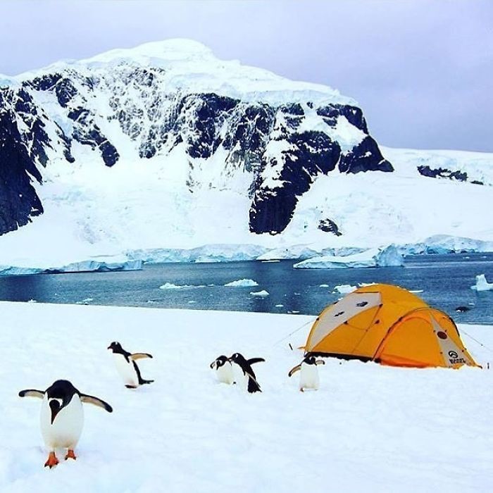 Фото © Instagram/ youdidnotsleepthere