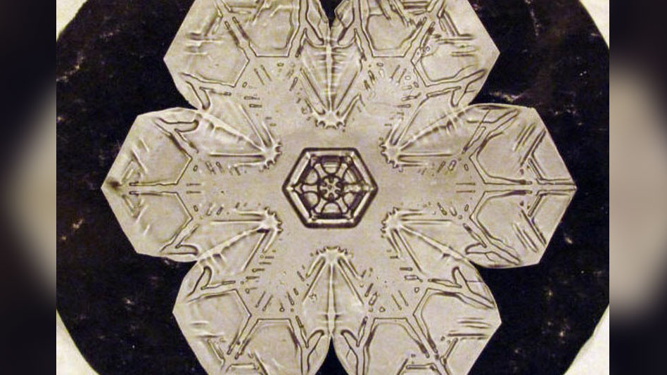 <p>Фото © Уилсон Бентли</p>