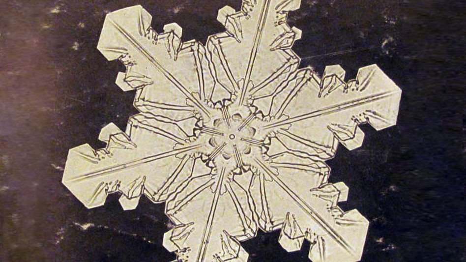 <p>Фото © Уилсон Бентли</p>