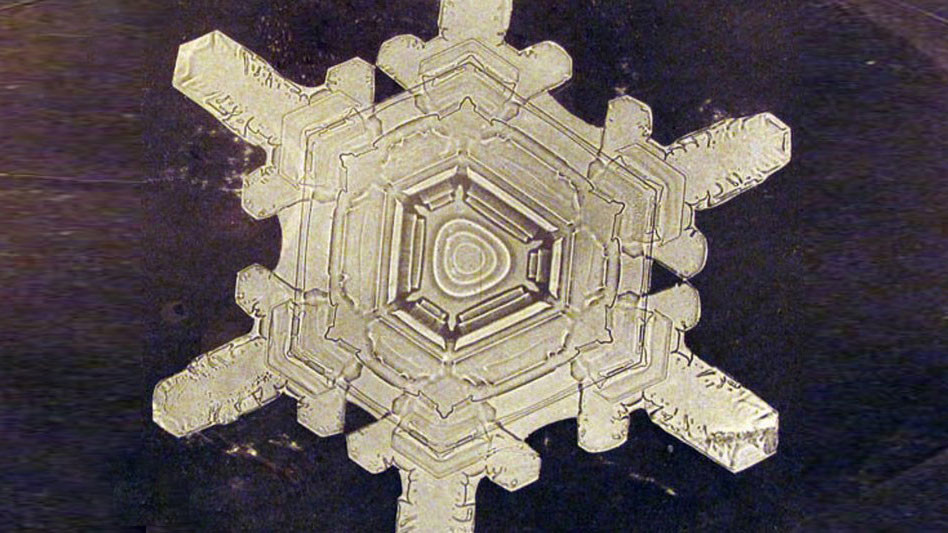 <p>Фото © Уилсон Бентли</p>