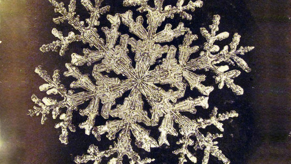 <p>Фото © Уилсон Бентли</p>