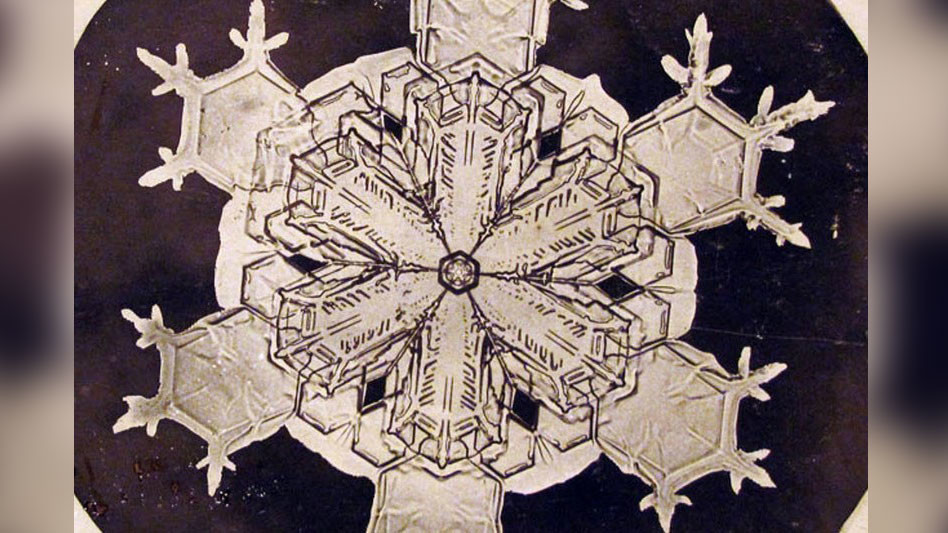 <p>Фото © Уилсон Бентли</p>