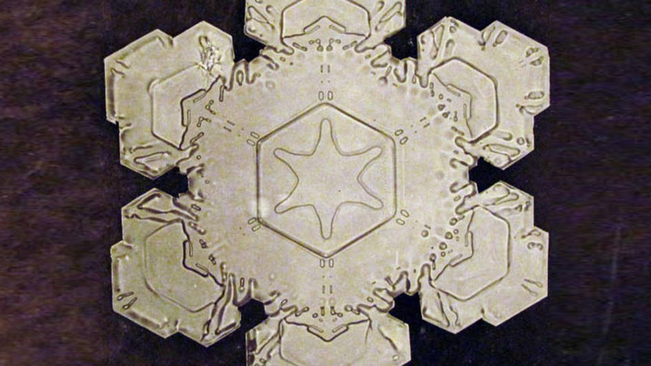 <p>Фото © Уилсон Бентли</p>