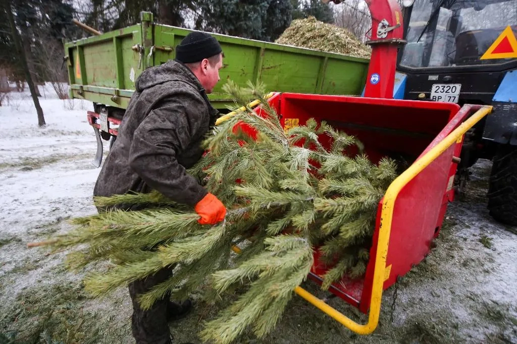 Прошлый новый год