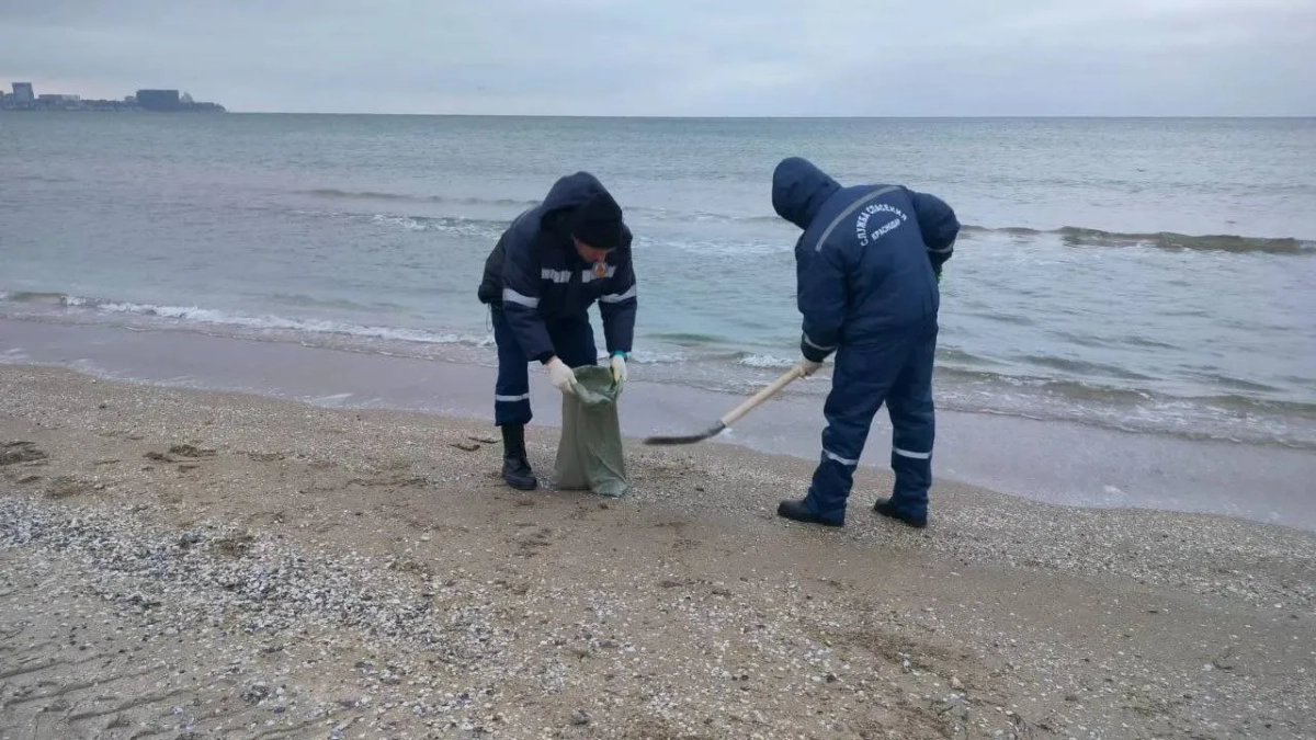 Акваторию Чёрного моря в Севастополе и Анапе полностью очистили от мазута
