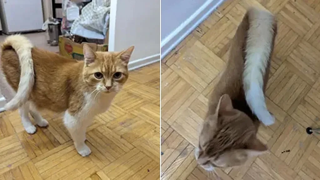 Фото © Reddit / TankArchives