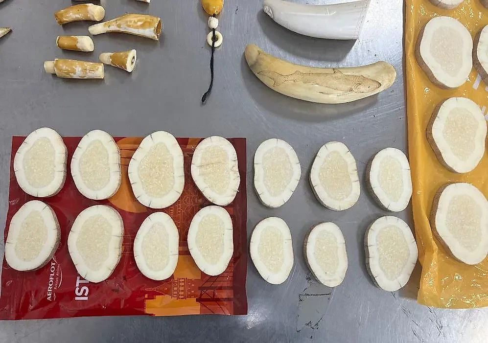 Изъятая у гражданина Китая в Приморском крае контрабанда. Обложка © t.me / ФТС России | ProТаможню