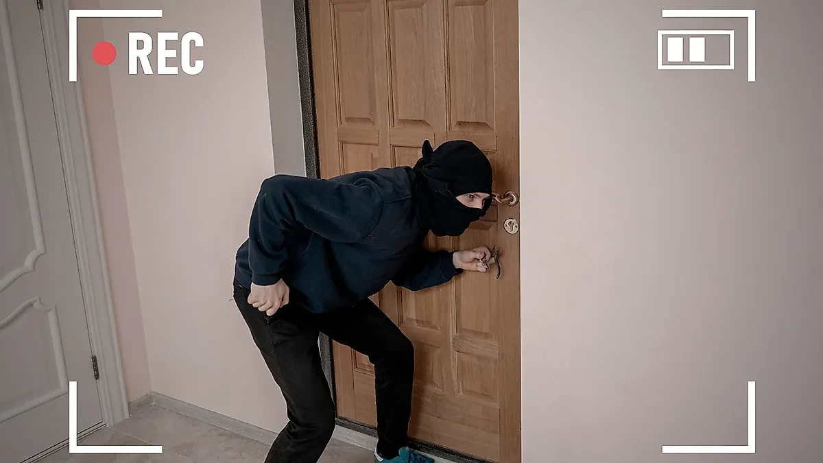 Обложка © Shutterstock