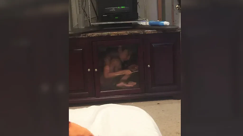 Фото © Reddit / ThaProphecy