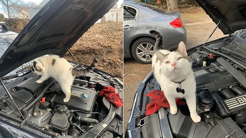 Фото © Reddit / StyleArtistic7201