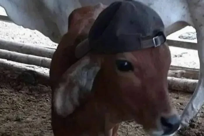 Фото © Instagram (соцсеть запрещена в РФ; принадлежит корпорации Meta, которая признана в РФ экстремистской) / chaotichats