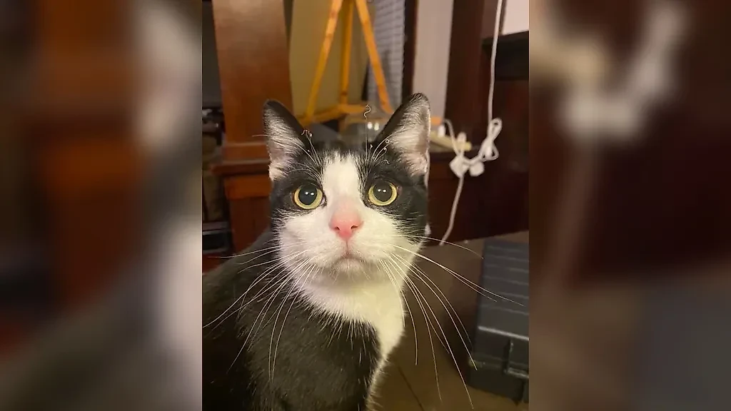 Фото © Reddit / azntakumi