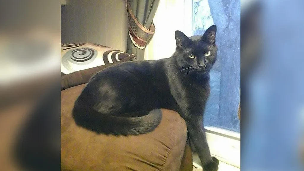 Фото © Reddit / Lakota_Six