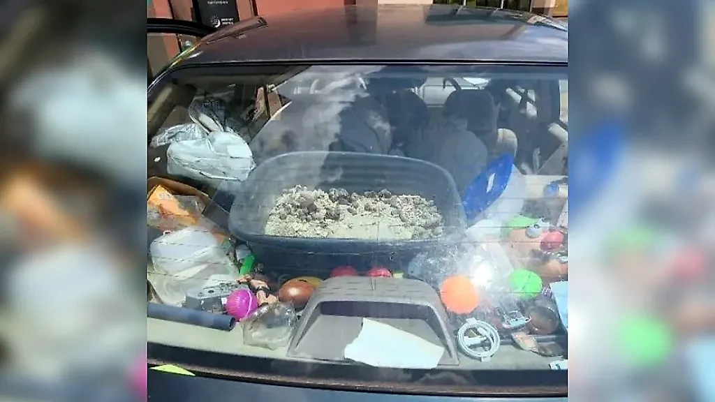 Фото © Reddit / Redclayroots