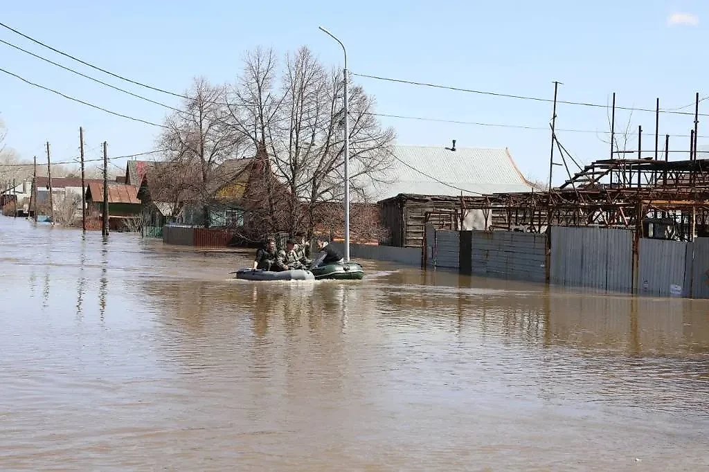 Ситуация в Оренбурге, СНТ "Дубки". Обложка © Life.ru / Илья Исаев