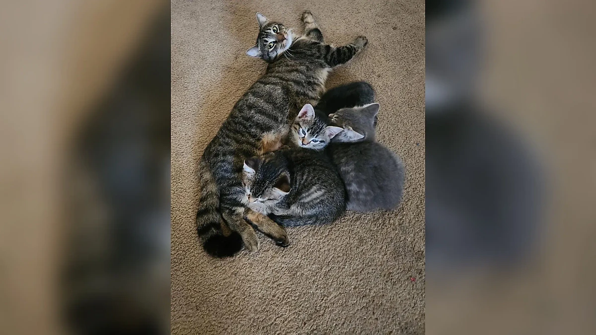 Фото © Reddit / Cycles_wp