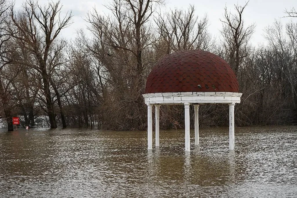 Паводок в Казахстане. Обложка © ТАСС / Медет Медвесов