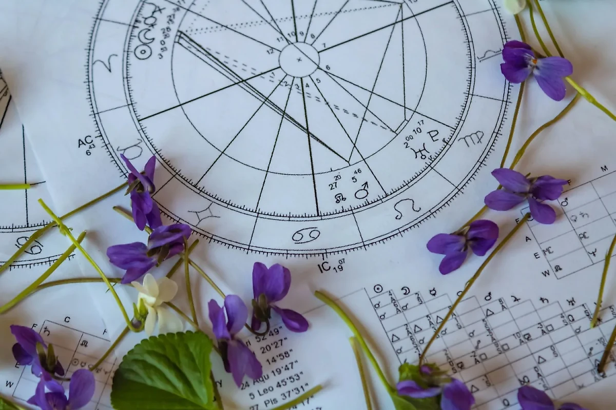 Фото © Shutterstock / FOTODOM