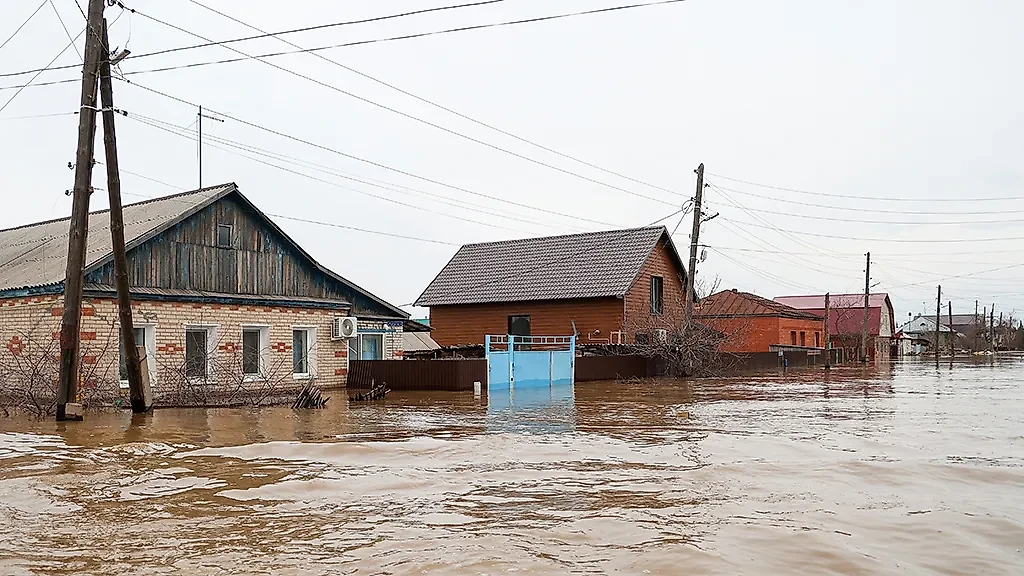 Фото © ТАСС / Егор Алеев