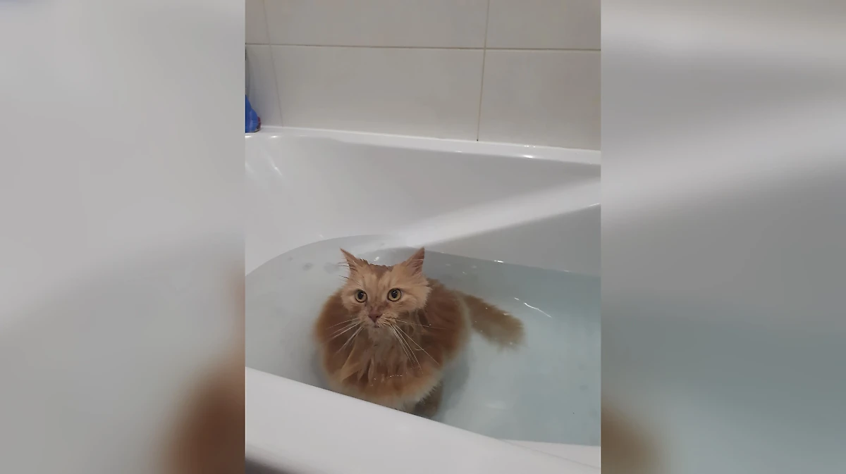 Фото © Reddit / bruhmoament89