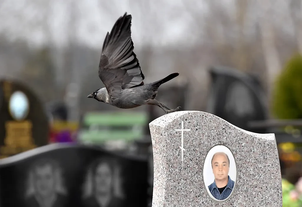 Приметы и запреты на Радоницу, 14 мая 2024 года. Фото © ТАСС / Виктор Драчев