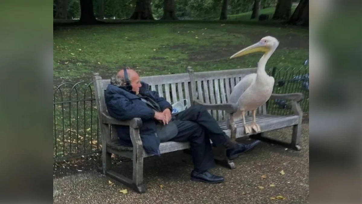 Фото © Instagram (соцсеть запрещена в РФ; принадлежит корпорации Meta, которая признана в РФ экстремистской) / mooodbored