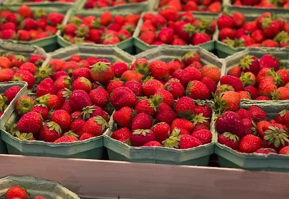 Ягоды не вырастут в цене в Московской области. Обложка © freepik