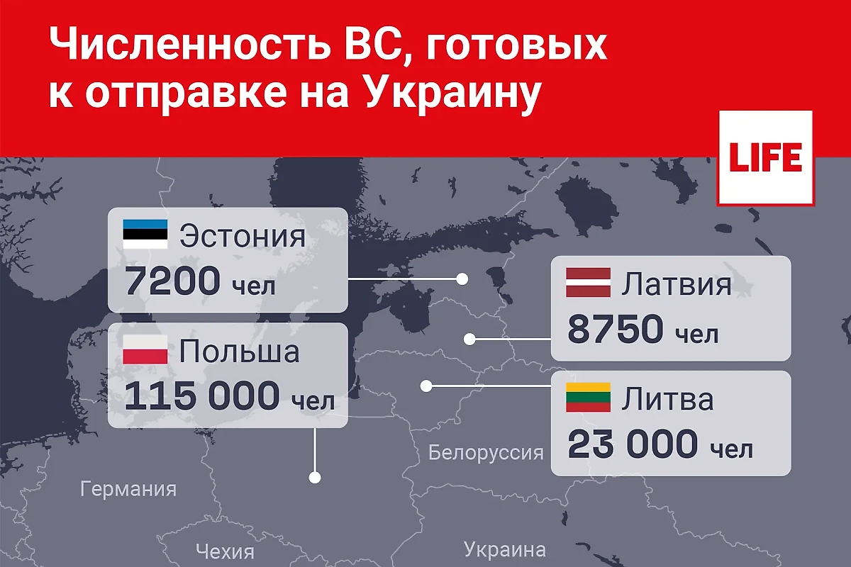 Сколько военных готовятся отправить на Украину Польша и страны Прибалтики. Инфографика © Life.ru.