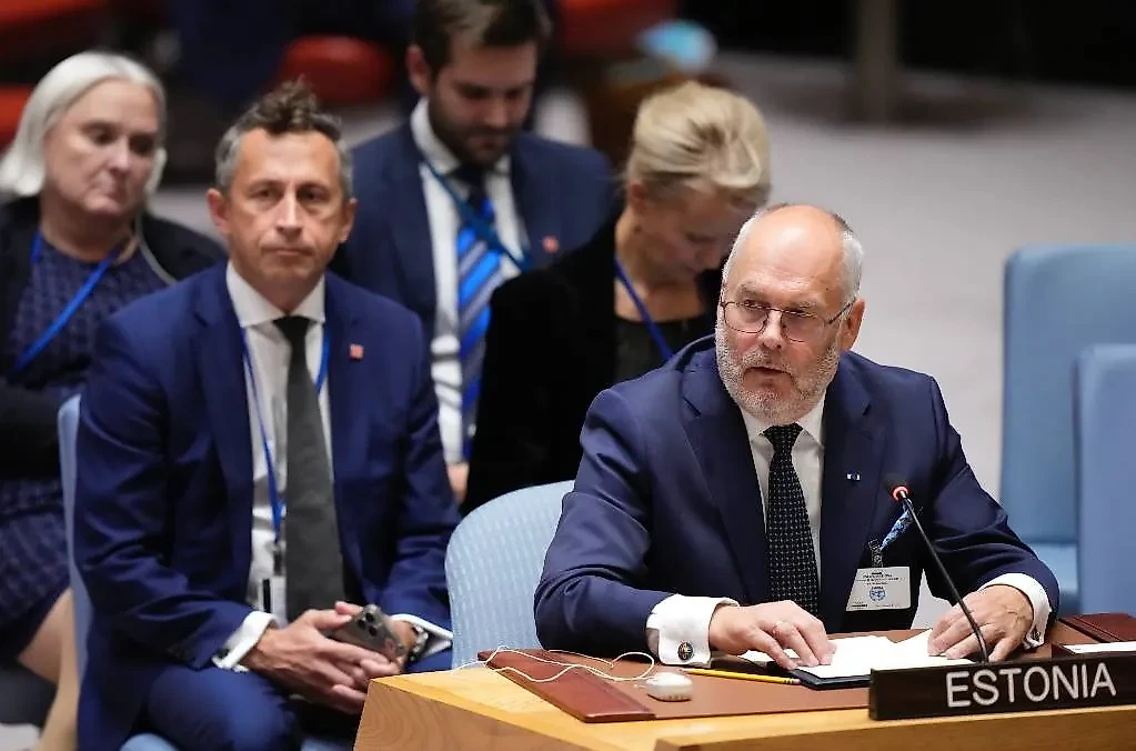 Президент Эстонии Алар Карис. Фото © ТАСС / AP / Mary Altaffer