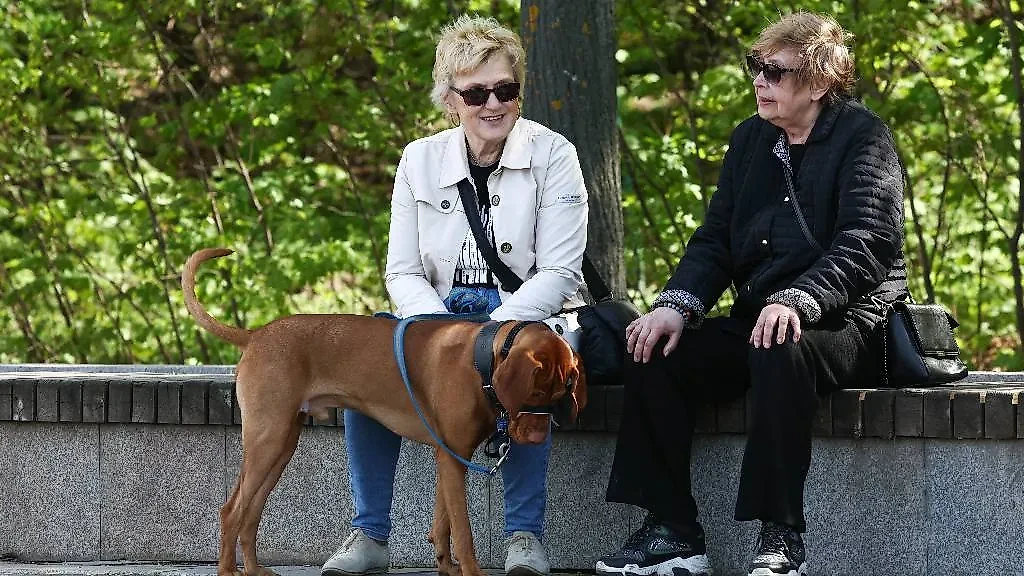 Новой пенсионной реформы в России в ближайшее время мы не увидим. Фото © ТАСС / Сергей Булкин
