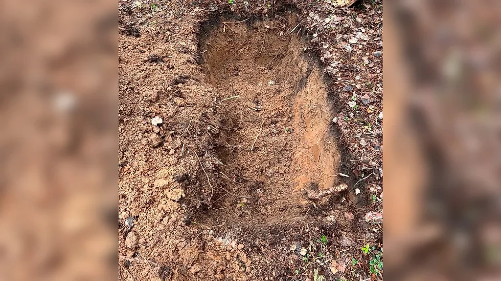 Место захоронения тела женщины, которую убил её бывший муж в Свердловской области. Фото © Пресс-служба СУ СК РФ по Свердловской области