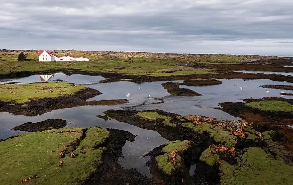 Шведов запугивают планами РФ атаковать остров Готланд. Обложка © freepik