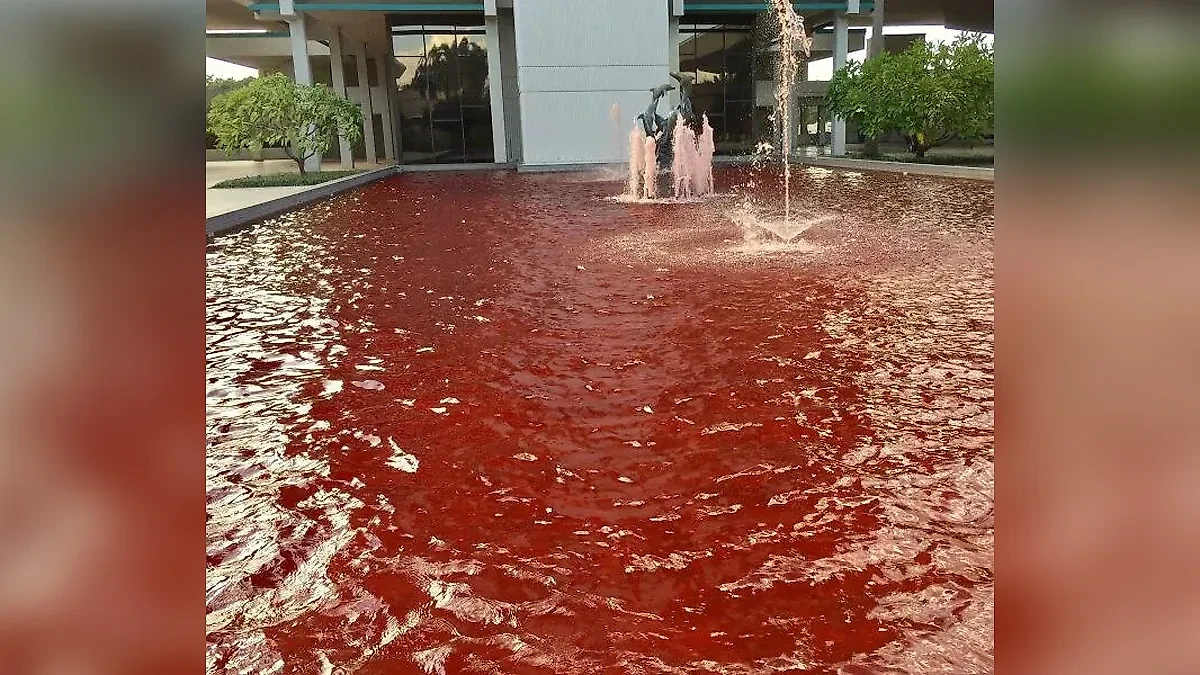 Фото © Reddit / BoeJenjamin