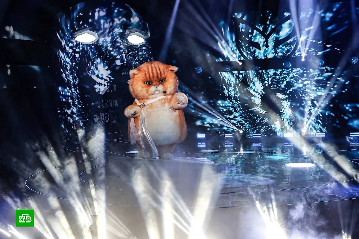 Кем оказался Кот, попавший в финал шоу "Маска". Угадают ли судьи, кто прячется за маской Кота? Фото © t.me / Маска