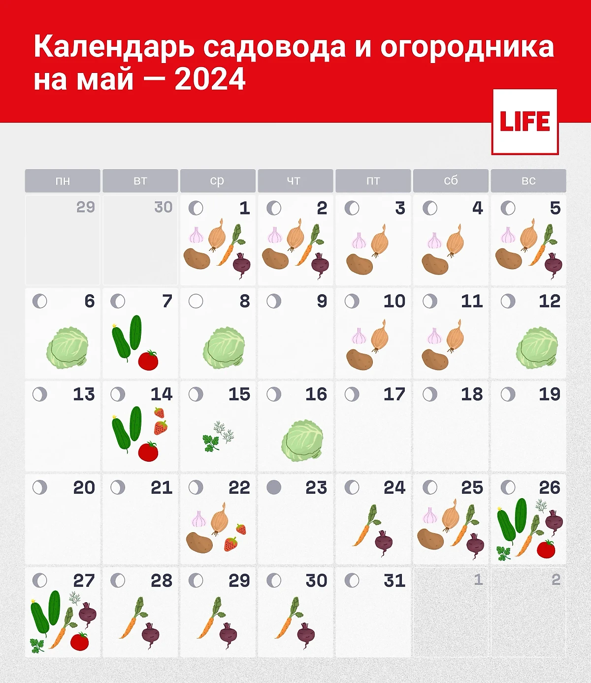 Календарь садовода и огородника на май. Инфографика © Life.ru