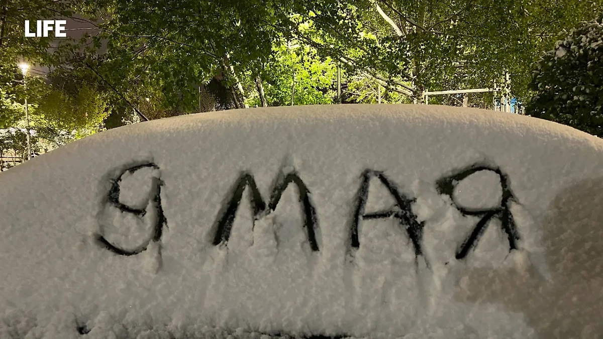 Ночью и утром 9 мая в Москве ожидаются заморозки. Обложка © Life.ru / Павел Баранов