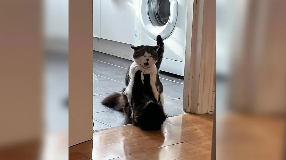 Фото © Reddit / 0MoodIndigo0