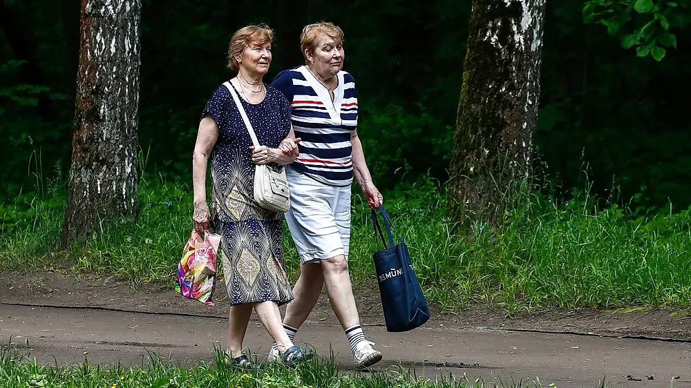 С 1 июля 2024 года повысят социальные выплаты. Обложка © ТАСС / Артём Геодакян