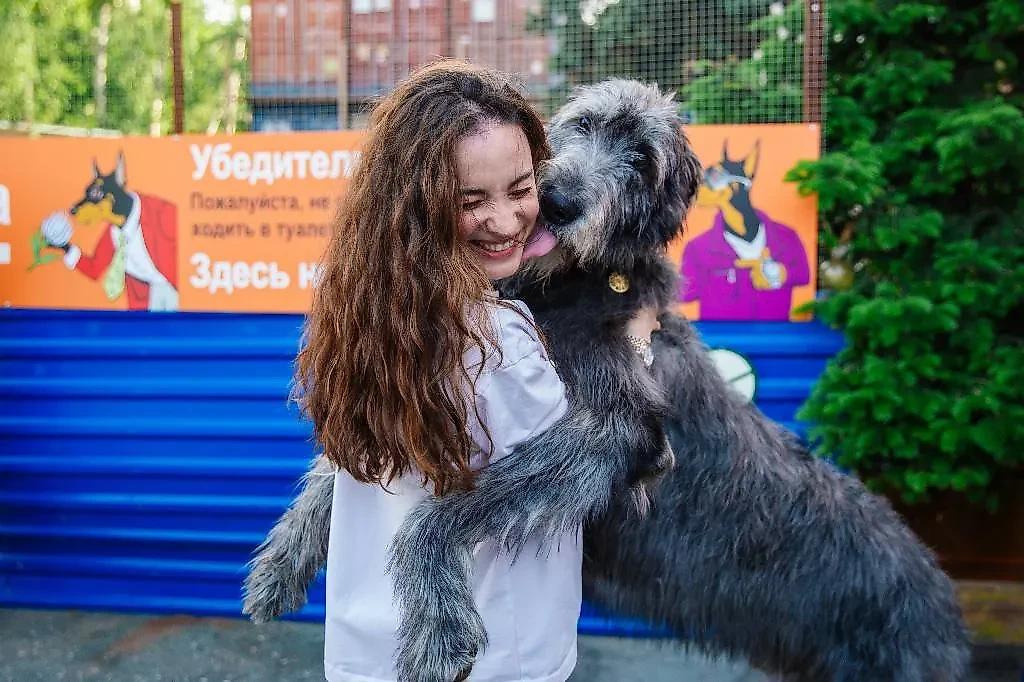 Открытие штаба зоозащитного движения "Мы в ответе за них". Фото © Пресс-служба партии "Новые люди"