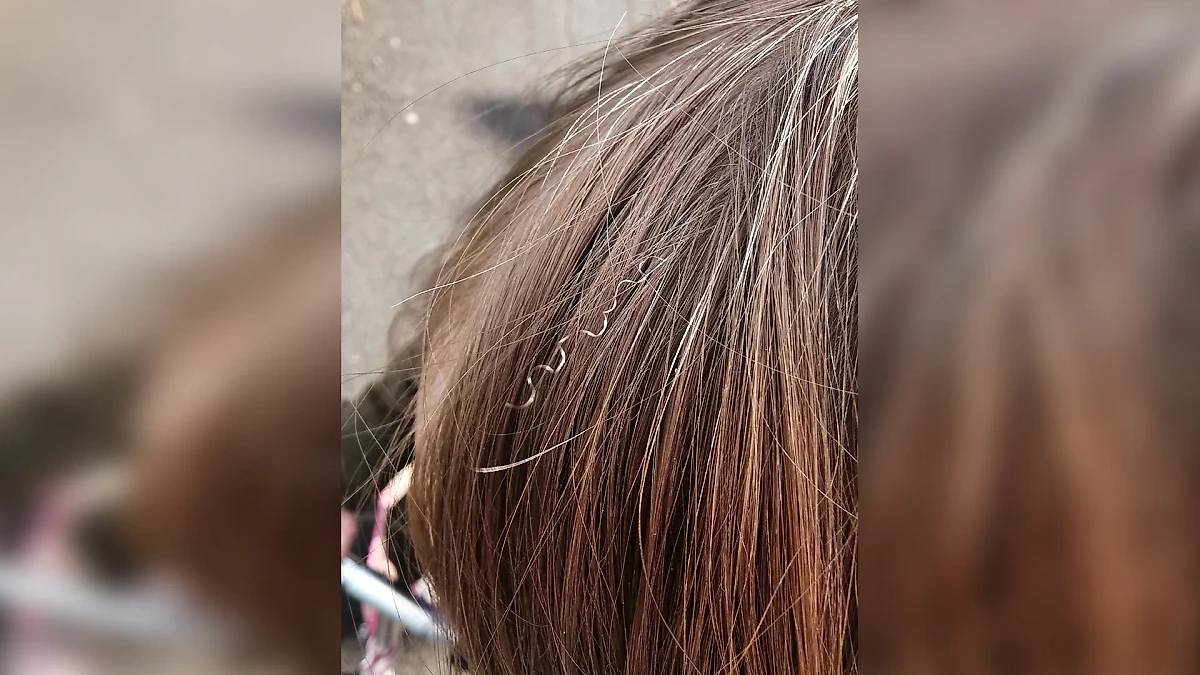 Фото © Reddit / WeNamedTheDogIndi