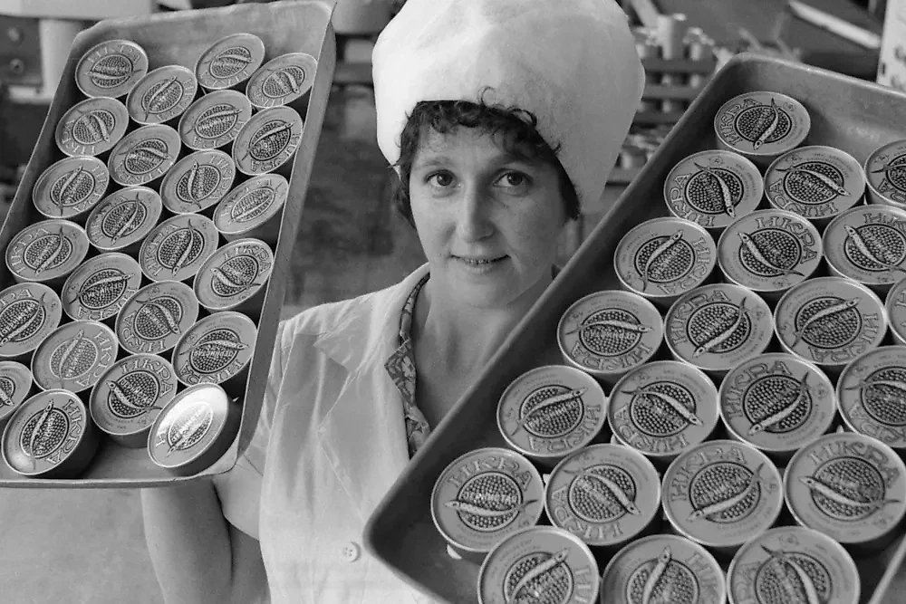 Икру во времена СССР не только ставили на новогодний стол, но и меняли у иностранцев на что-то полезное. Фото © ТАСС / Алексей Жигайлов